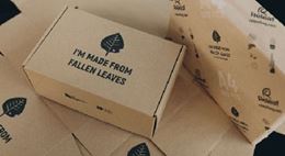 Box made from dead leaves. 