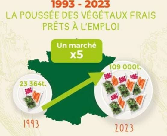 Infographic showing the growth of the ready-to-use fresh produce market in France from 1993 to 2023, rising from 23,364 tonnes to 109,000 tonnes, a fivefold increase. Two plates illustrate the volumes, with an upward arrow on a map of France in the background.          