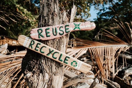 "Deux panneaux en bois peints avec les mots 'REUSE' et 'RECYCLE' fixés à un tronc d’arbre, symbolisant l’économie circulaire en pleine nature."