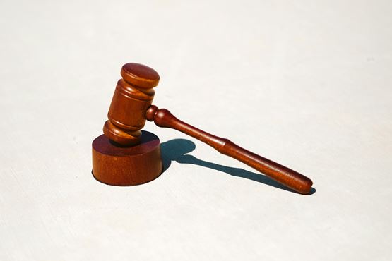 Brown gavel on a white background