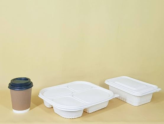 Cardboard coffee cup with a black lid and white compartmented fiber food containers placed on a plain beige background.