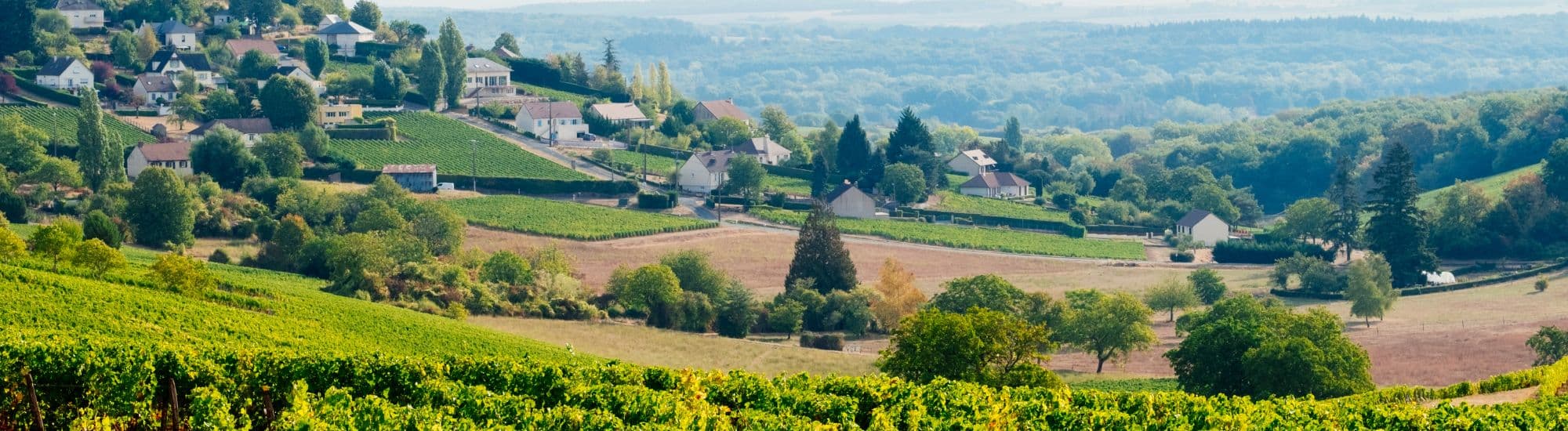 Image représentant le centre val de Loire