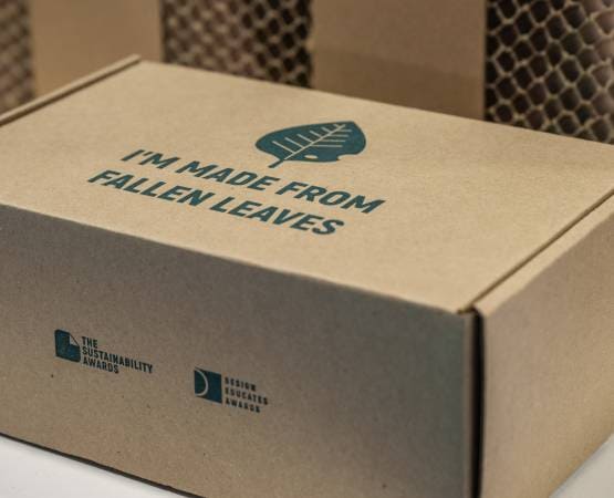 Packaging box made from fallen leaves
